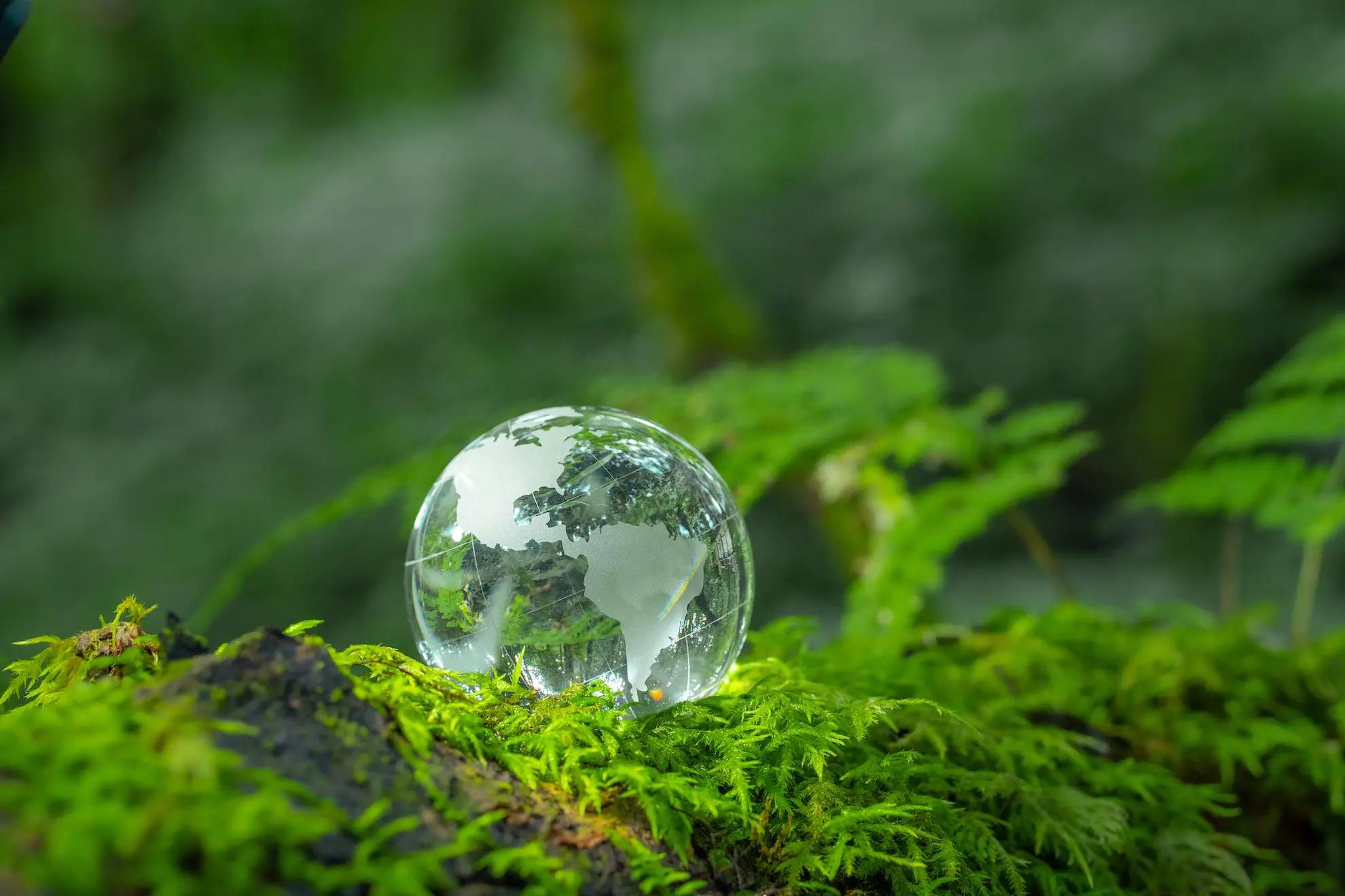 La responsabilité environnementale 